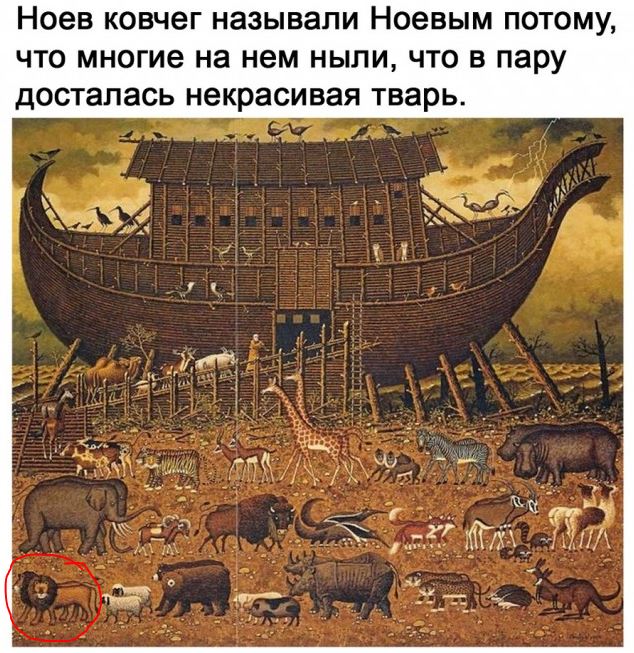 Чуток картинок 28.07.20