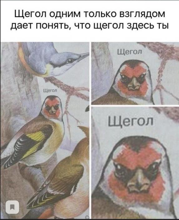 Бредзона 25.08.2020