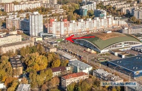 Белорусский косплей Чиполлино