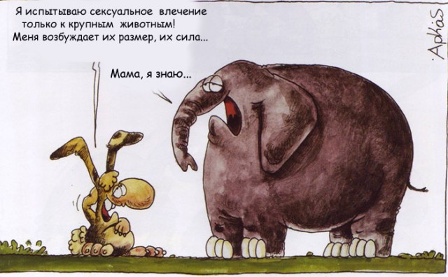 Картинки разные для поднятия настроения