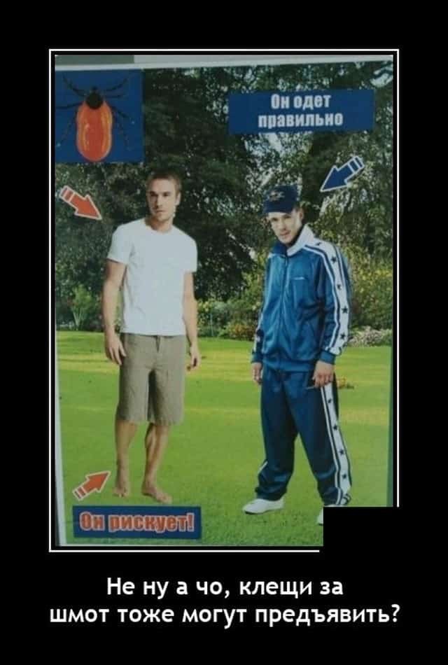 Просто фото...
