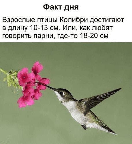 От 17 до 19. Девушки о своих интимных желаниях и оптимальном размере члена
