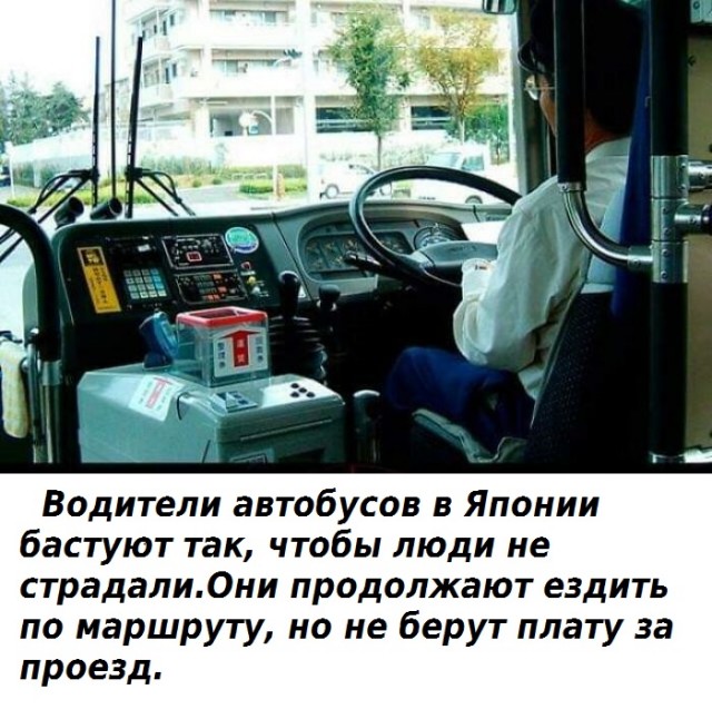 Факты, доказывающие, что Япония не похожа ни на одну другую страну .
