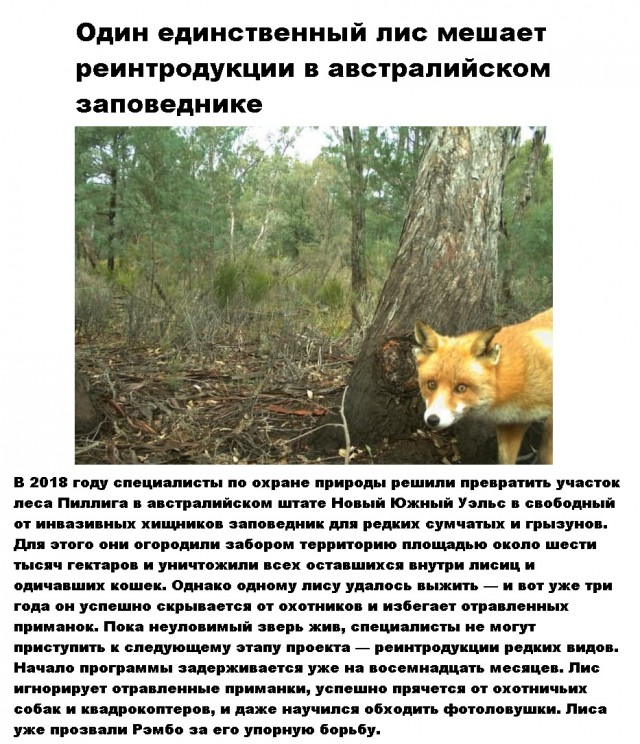 Картинки и мемы для настроения 003