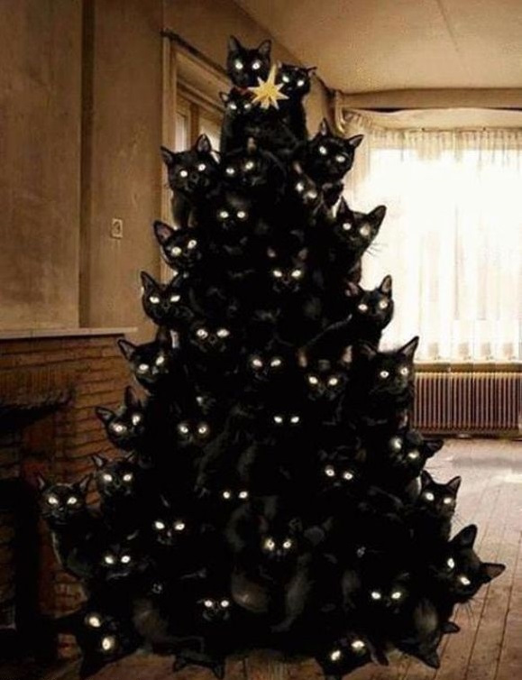 Много рыбОв и кОтов, коллеги!