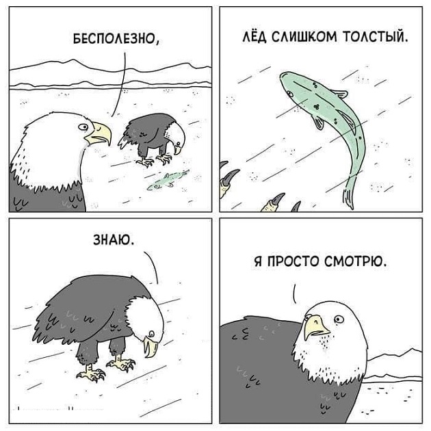 40 картинок разных 14.03.2022