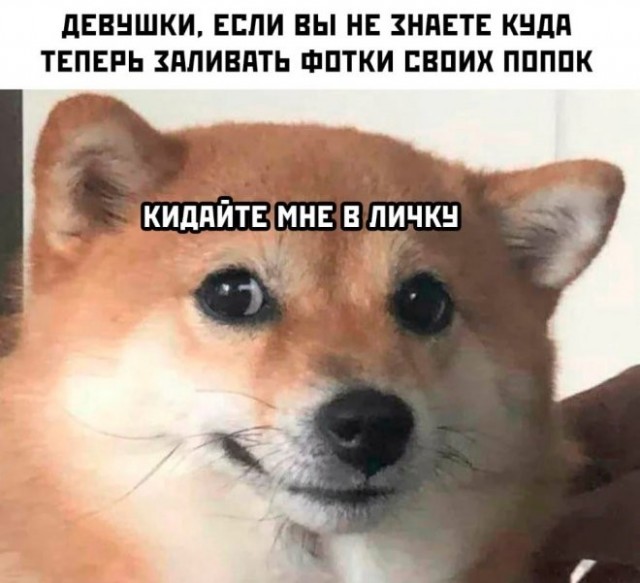 Картинки и мемы, всем отличных выходных