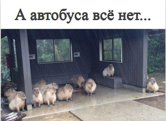 Так себе картинки 17.04.22
