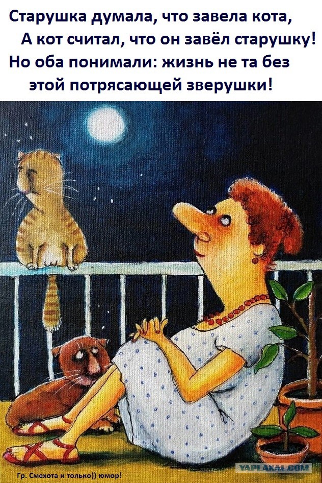 Картинки с надписями и всякие жизненные фразы