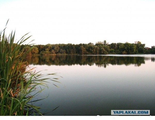 Открытая вода