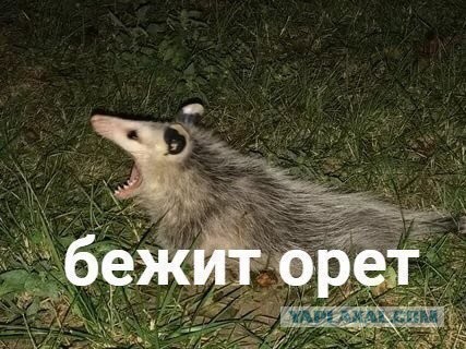 Пост, памяти ХенкМуди