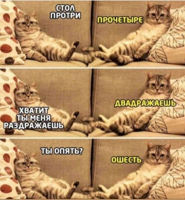 Картинки и мемы для настроения - 15