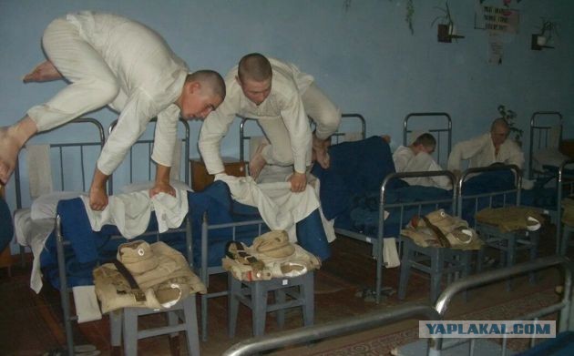 Папа встречает сынулю