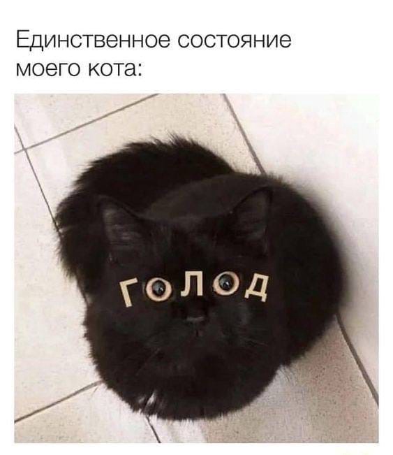 Чпок. Добрый вечер!