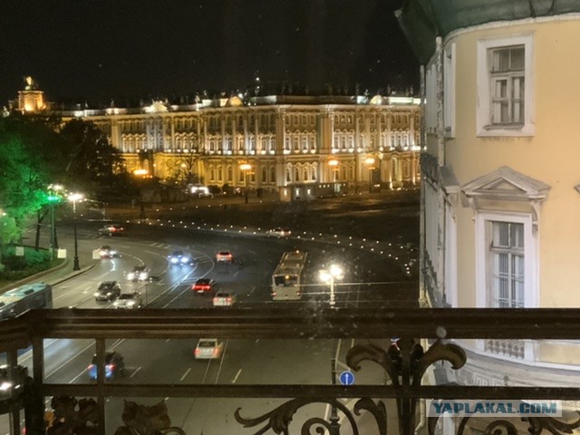Пандемия съехавших крыш - разновидности болезни. Россия и мир. Часть 45.