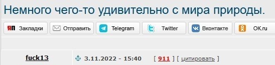Немного чего-то удивительно из мира природы