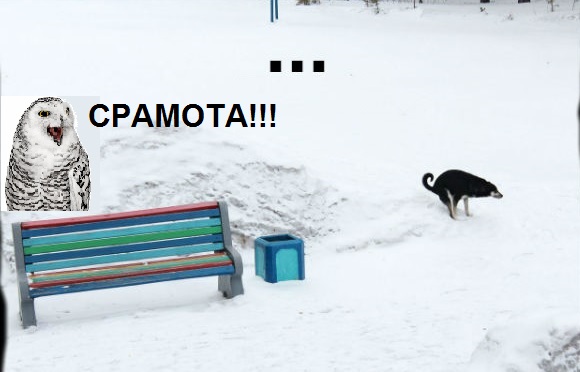 Смотрите на всех форумах страны