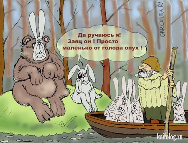 Рандомные анекдоты про медведя