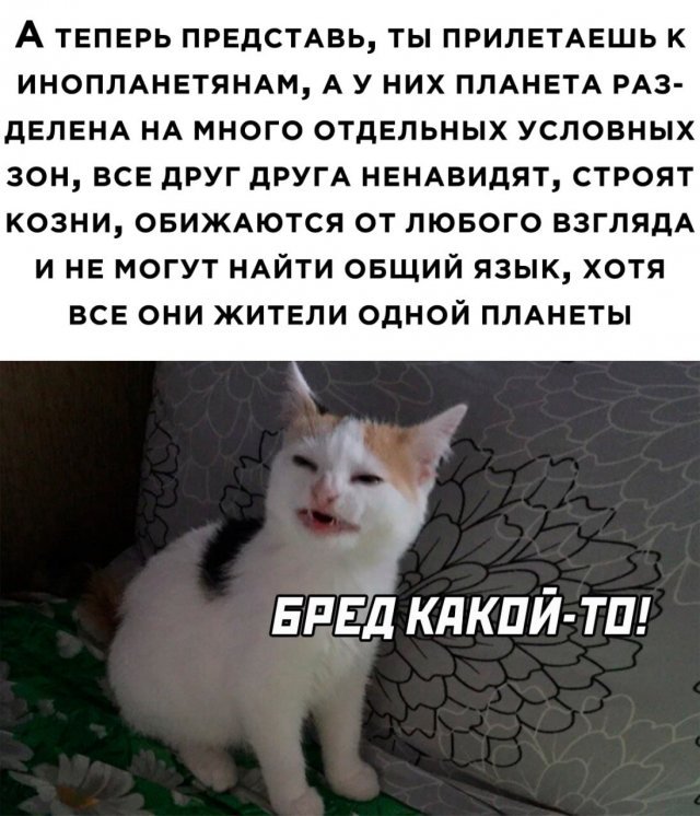 Картинки и мемы, всяко разно - 185
