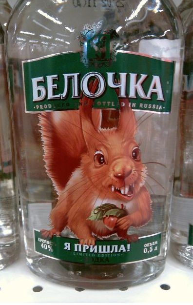 Прикольные и просто красивые картинки 04.08.2023
