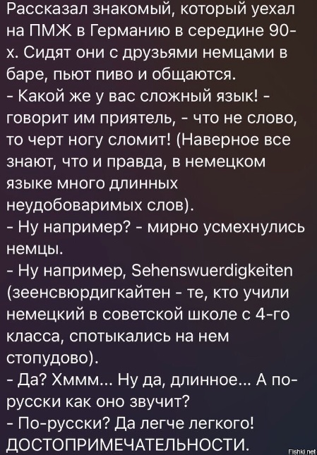 Весёлый полтишок 08.09.23