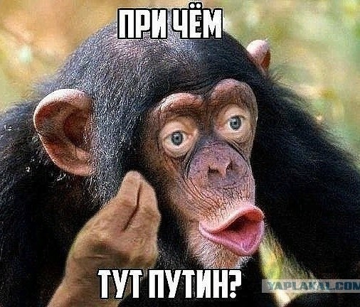 Коллаборанты из Дружковки