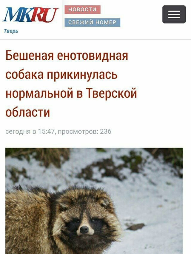 Так себе картинки 03.05.24