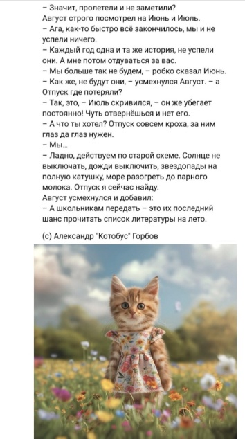 Весёлый полтишок 05.08.24