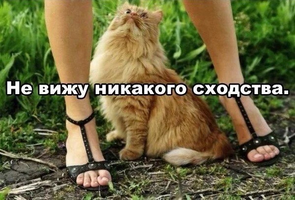 Немножко контента 18+