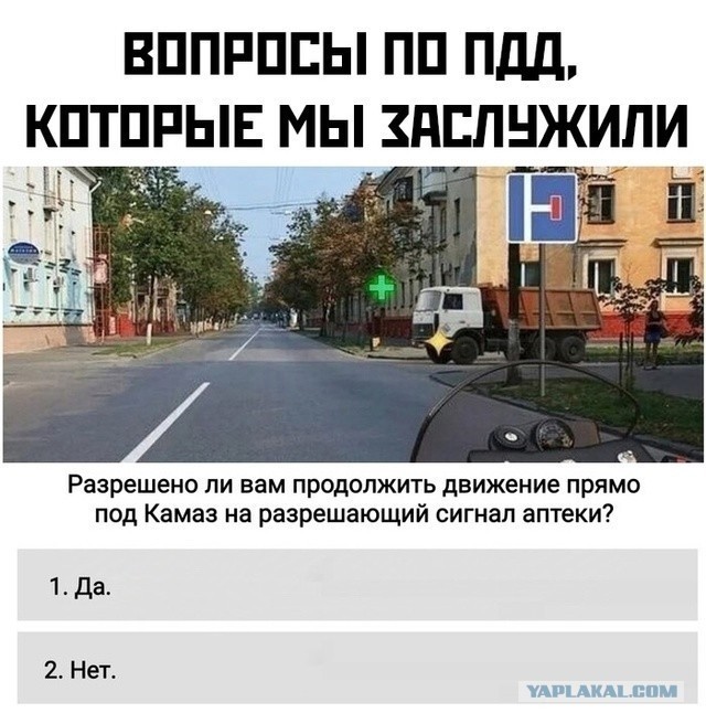 Весёлый полтишок 14.10.2024