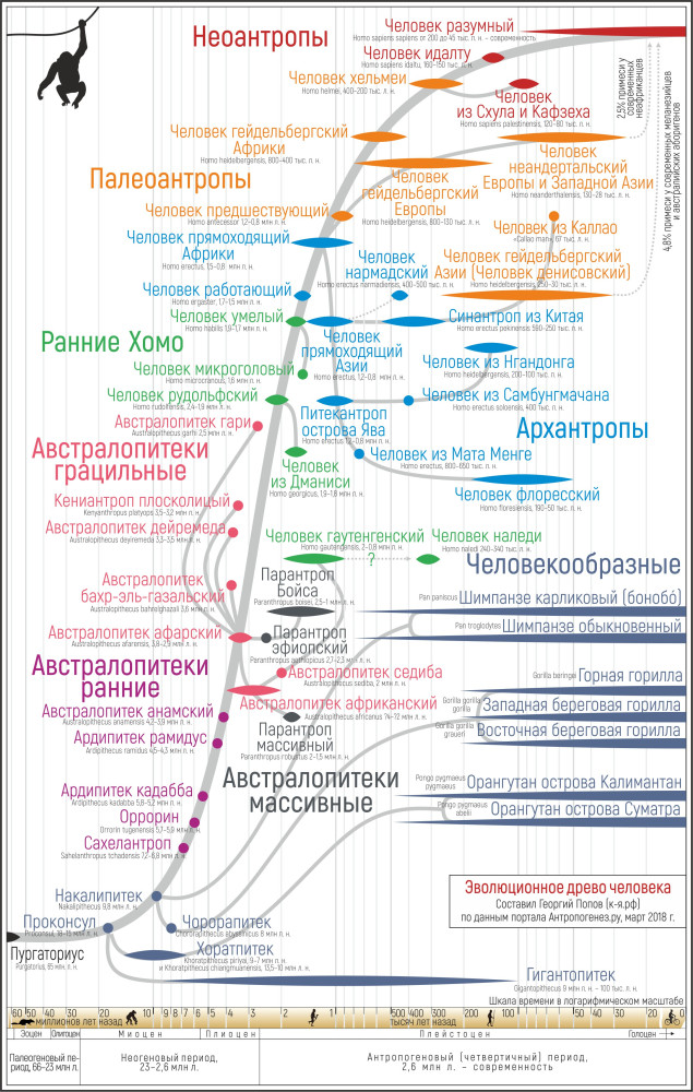 Смерти нет: Пентагон рассекретил проводимые в 80-х годах исследования человеческого сознания