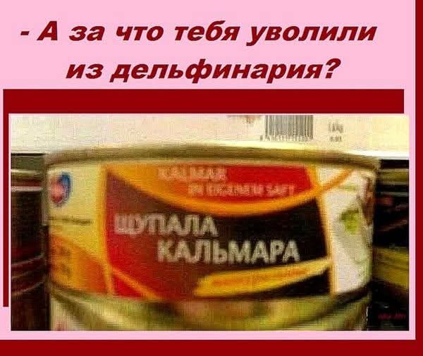 Завалялось тут случайно немного забавных картинок