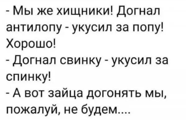Так себе картинки 12.02.25