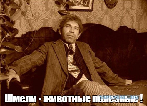 Реанимация шмеля⁠⁠