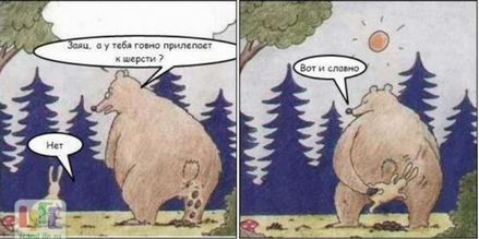 7 мифов о туалетной бумаге: от узоров до котов-помощников