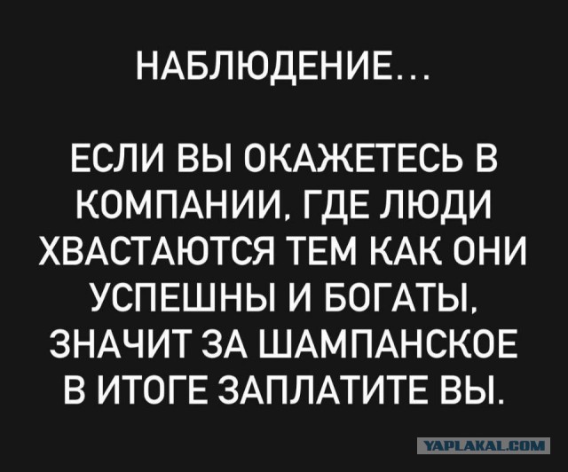 Картиночки, баянчики 10 декабря