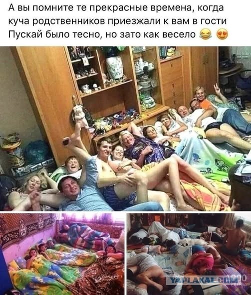 Веселое настроение в картинках (12.12.2025)