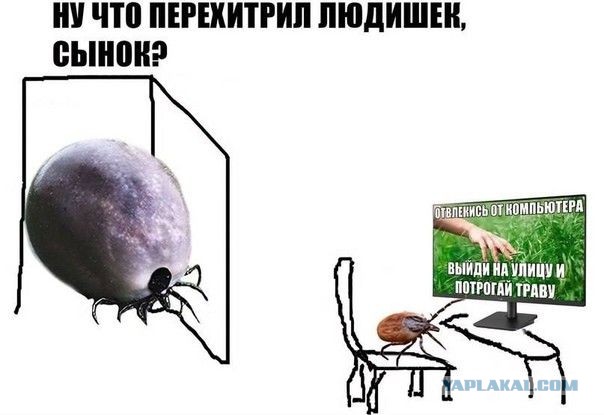 Москвичей предупредили о самом тяжелом лете