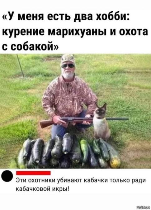 Крупный фруктово-овощной кризис грозит России из-за боевых действий на Ближнем Востоке