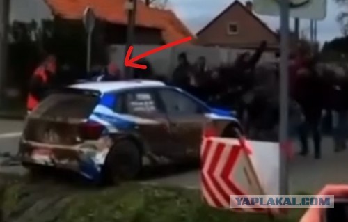 50 мужских сил