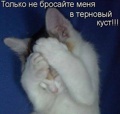 Вот говорят.