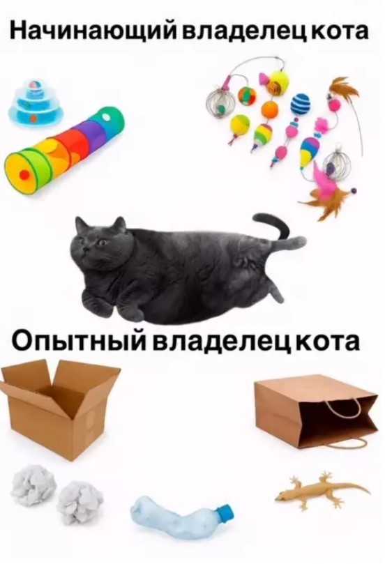 Картинки без критики