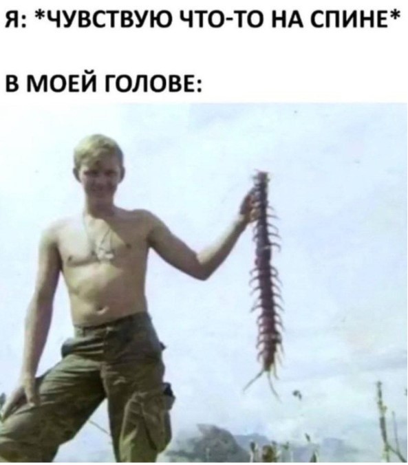 Веселые картинки в маленькую пятницу (27.05)