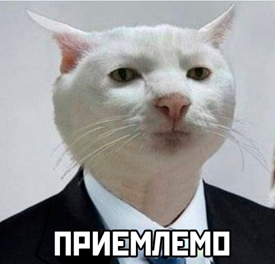 Затерянный лес нашли по спутнику. Что учёные увидели на вершине неприступной горы