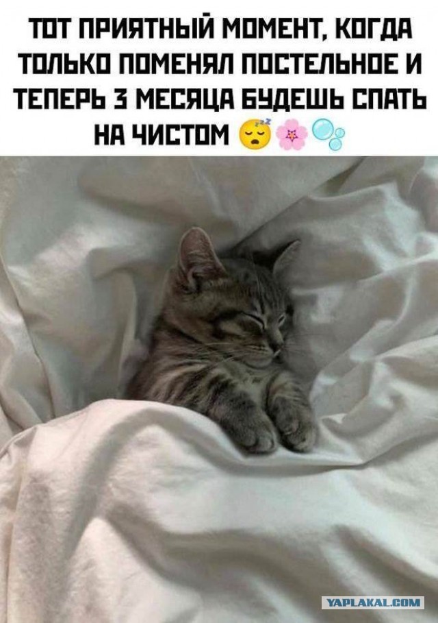 А теперь про труселя