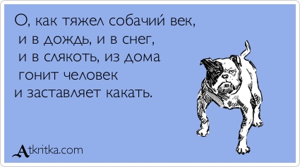 Попытка образумить владельцев собак