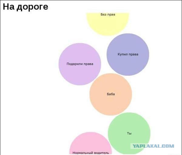 33 ироничных факта о нашей жизни в графиках