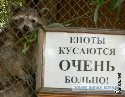 Когда накрывает 9-й вал умиления
