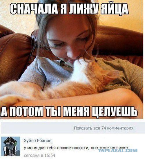 Смешные комментарии из социальных сетей (40 фото)