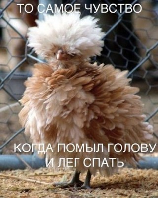 Поднимаем настроение